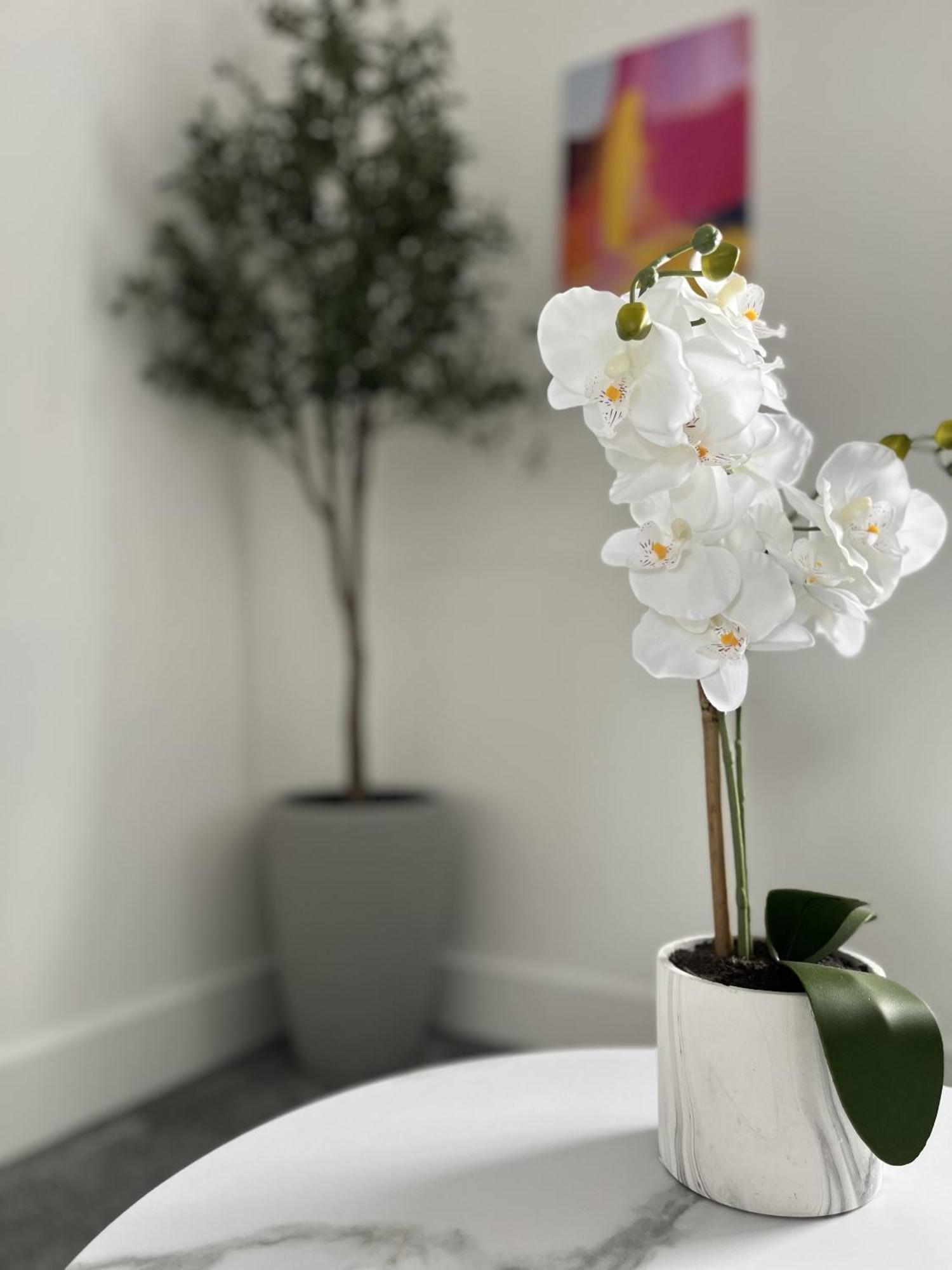 Luxury Norwich City Centre Apartment - Free Parking ภายนอก รูปภาพ
